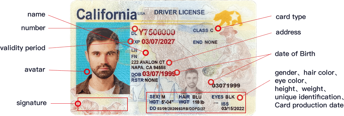 lunarmarketids.com card customization fields — name, DOB, address, photo